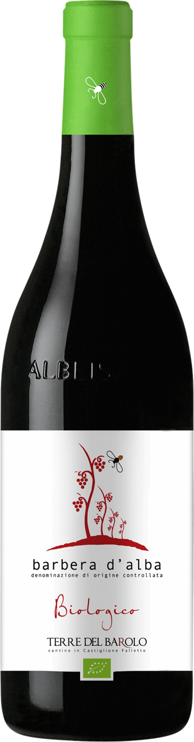 Terre del Barolo Barbera d’Alba Biologico 2018