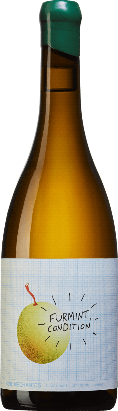 Furmint Condition Wine Mechanics 2021