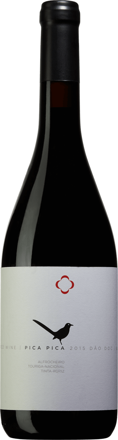 Pica-Pica Quinta de Lemos 2015