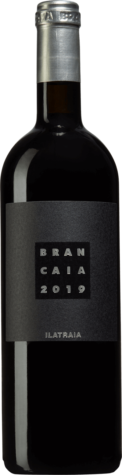 Brancaia Ilatraia 2019