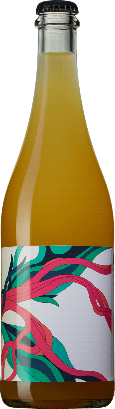 Katja Taylors Dryg Cider 2021